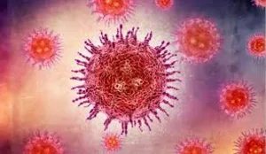 Virus Nipah: qué es y cómo se transmite