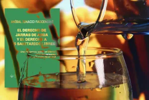 La UNR presenta el libro que resume la lucha por el derecho al agua para beber y a los sanitarios libres en la que Rosario es pionera