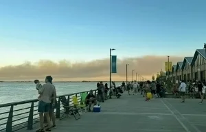 La lluvia lo apaciguó, pero el incendio "intencional" en las islas frente a Rosario ya devastó una superficie equivalente a seis parques Independencia