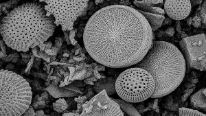 Argentinos crean un filtro de uso doméstico para remover micro y nanoplásticos del agua