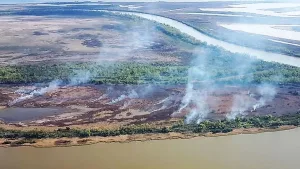 La UNR alerta sobre un incendio intencional en el humedal y pide investigar