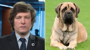 Duelo en Olivos: murió el perro "copy-paste" de Conan