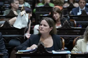 "Es una farsa": Caren Tepp impugnó las audiencias por la Ley de Glaciares y advirtió sobre el riesgo de que el agua quede en manos de "un funcionario de tercera línea"