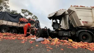 Dos choques en la autopista Rosario- Buenos Aires: seis camiones involucrados, un muerto y heridos