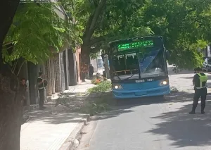 Un colectivo chocó contra un árbol: una pasajera resultó herida