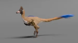 Un fósil patagónico de 95 millones de años reescribe la historia evolutiva de un enigmático grupo de dinosaurios