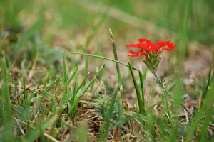 Un domingo ideal para disfrutar sin deslomarse, pero hay tormentas en puerta