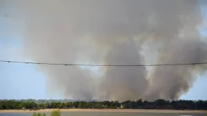 Impactante incendio en el Delta del Paraná: las llamas arrasaron con más de 400 hectáreas en las islas frente a Rosario