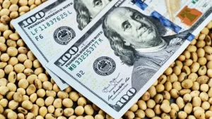 Soja y Dolar