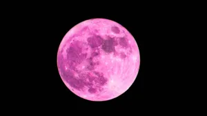 Luna Rosa: cuándo y cómo ver el fenómeno el miércoles 1° de abril