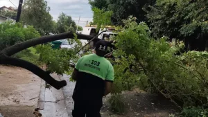 Lo que dejó el paso del temporal por Rosario: 40 milímetros en pocas horas y ráfagas que superaron los 80 kilómetros por hora