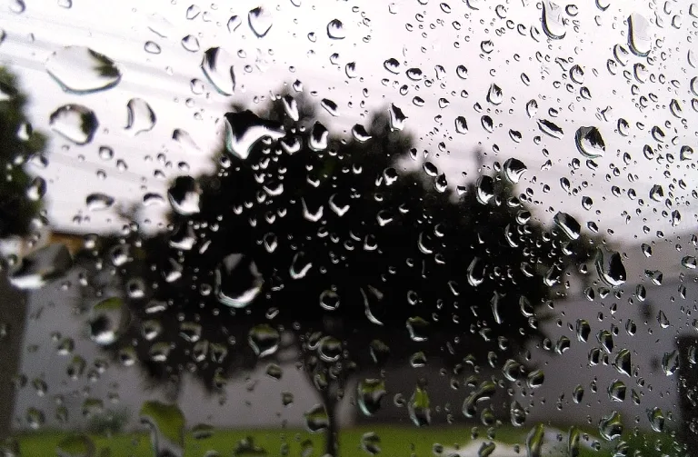 Viernes con probabilidad de tormentas a partir de la tarde