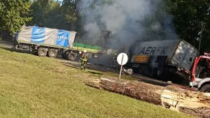 Impactante choque frontal entre dos camiones en Zaballa: uno de los rodados se incendió y hay un herido de gravedad
