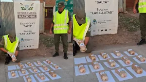 Ruta blanca: cae banda que llevaba cocaína desde Salta hacia Santa Fe