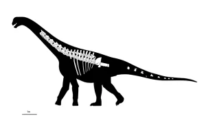 nuevo dinosaurio