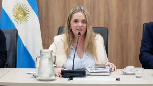 Una diputada libertaria admitió que usó pasajes oficiales del Congreso para que su hijo vaya a la facultad