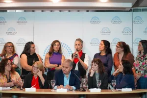 “El proyecto de ley de ‘falsas denuncias’ quiere construir la impunidad de los agresores”