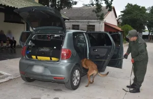 Operativo antidrogas: interceptaron un envío de cocaína entre Jujuy y Arroyo Seco
