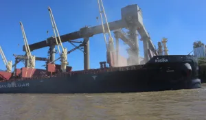 Agro argentino en modo récord: maíz imparable y girasol conquista mercados