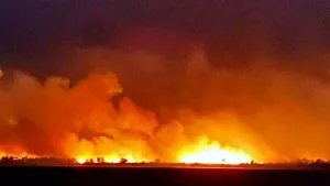 Fuego sin culpables: desvincularon a los diez imputados por los incendios del Delta en 2022