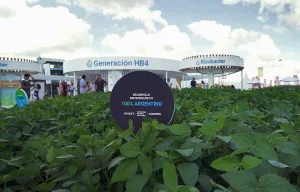 Entuerto de Bioceres y controles laxos complican exportaciones de harina de soja: Europa emitió 3 alertas por rastros de grano modificado HB4, prohibido en el continente