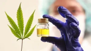 Investigadores chinos desarrollan una molécula a partir de cannabis medicinal