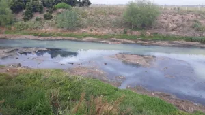 Denuncian falta de control sobre contaminación del arroyo Ludueña