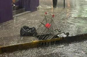 Inestabilidad: el Municipio tuvo que responder a numerosos reclamos por daños y un motociclista resultó herido por la caída de un cable