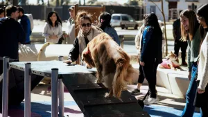 Rosario inauguró su primera plaza con espacio exclusivo para perros en barrio Pichincha