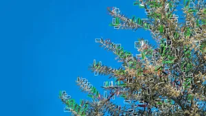 Inteligencia artificial: un científico argentino diseñó un robot único para controlar plagas