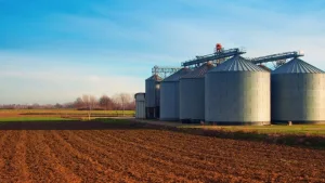 El dilema del complejo sojero argentino: del liderazgo en el crush a la trampa de los eslabones intermedios