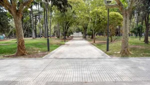 Espacios verdes de la ciudad, parques