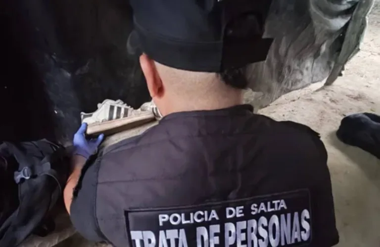 Salta: tras los allanamientos, imputaron a dos hombres por pedofilia digital