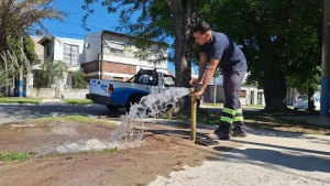 San Lorenzo: Este jueves 28 estaremos trabajando en la ciudad