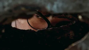 Proyectan "Desentierros, los libros que no heredamos", en el Festival de Cine Latinoamericano de Rosario