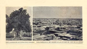 El ombú de las ánimas