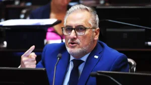 El senador nacional por Santa Fe, Marcelo Lewandowski