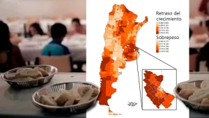 Mapa de malnutrición en la Argentina: en qué zonas del país coexisten