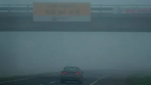 Neblina en la ruta