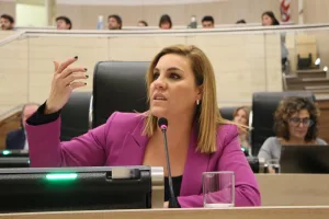 Piden derogar decreto: "Atenta contra la legalidad, el control y la seguridad en la ejecución de obras privadas"