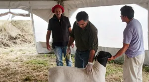 AgroActiva ganadera: genética de punta, remates de elite y expectativas récord