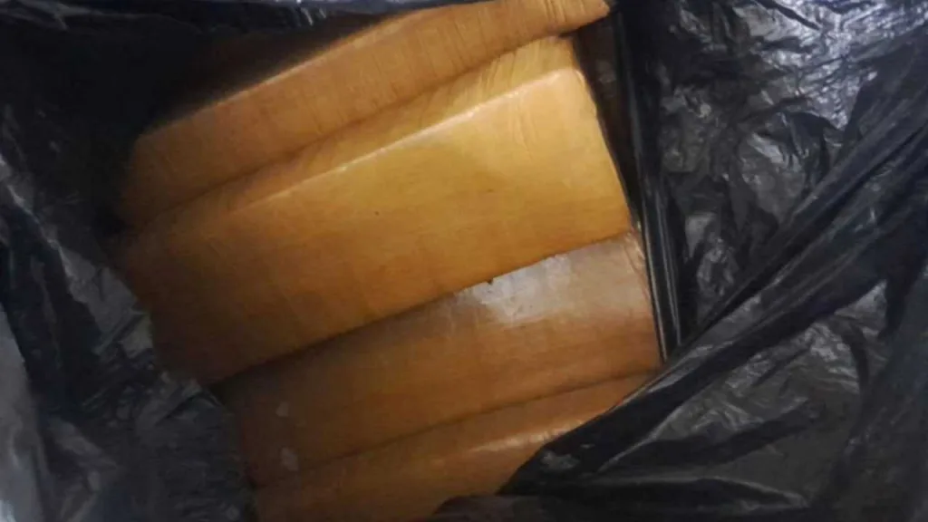 Droga en una carnicería de Serodino: quedó preso el carnicero por los 103 kilos de marihuana