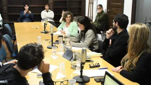 Concejo Municipal: ante la proliferación de los mosquitos, hubo pedido de informe sobre el cronograma de fumigación