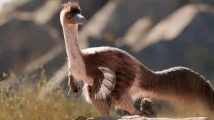 Descubren que un dinosaurio hallado en Río Negro era más grande de lo que se creía: cuánto medía