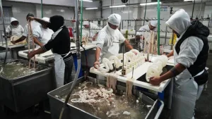 Trabajadores del frigorífico Euro