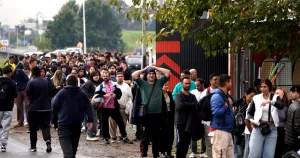 Buscaban 60 personas y mas de 4 mil hicieron fila para trabajar en un frigorífico que crece con ventas de media res