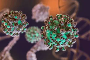 Hantavirus: el total de casos en Argentina asciende a 102