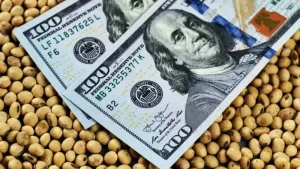 Dolares y Soja