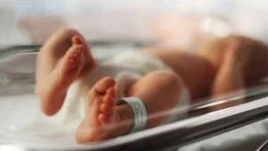 Nacimientos Bebes
