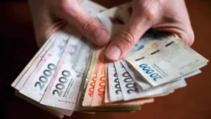 Dinero, pesos